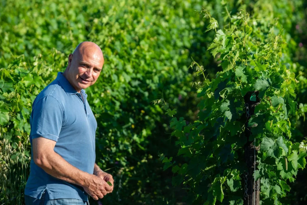 Filodivino verdicchio wijnboer